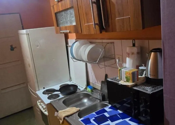 Mieszkanie Dla Firm W Centrum Zabkowic Slaskich * 希隆斯克地区宗布科维采